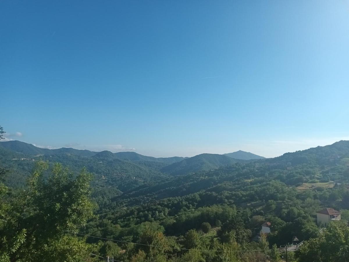 Appartamento La Pineta It010-058C20-Tj54093 Serra Ricco Luaran gambar